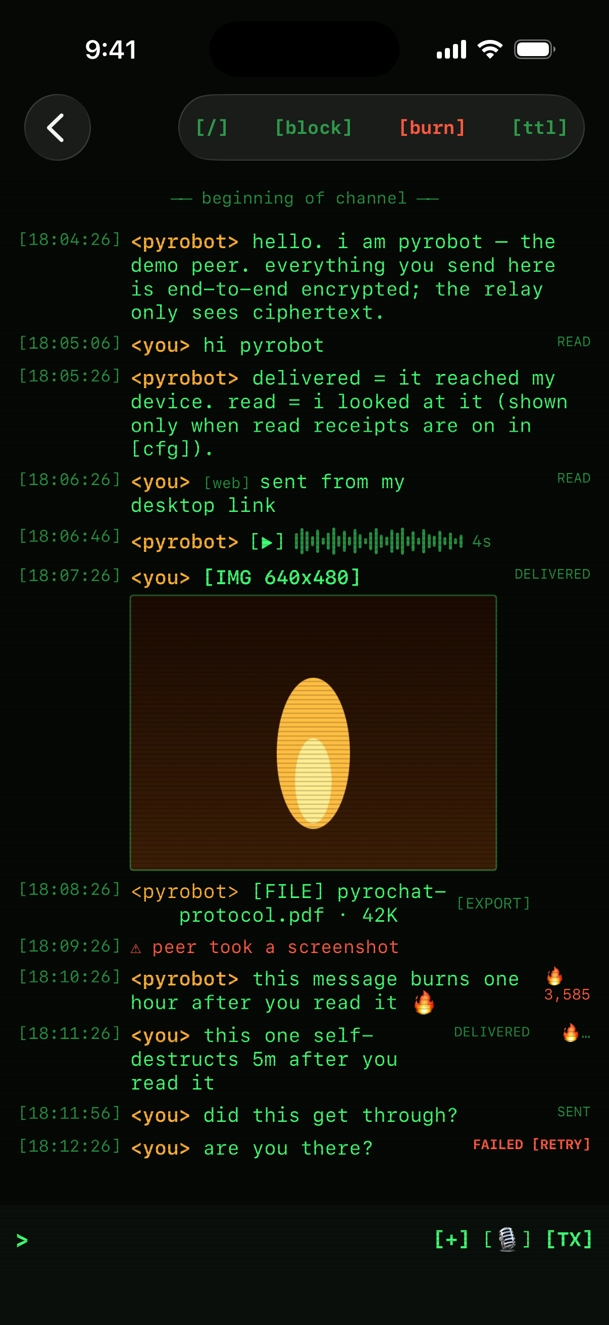 PyroChat conversation on iPhone